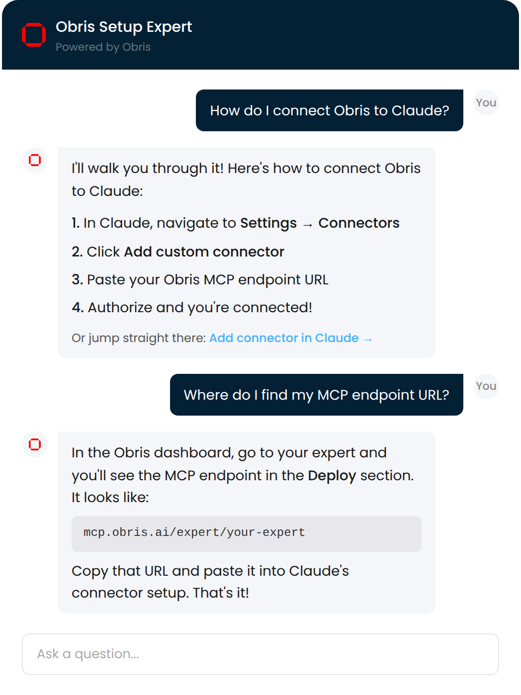 Obris Setup Expert walking through Claude connection